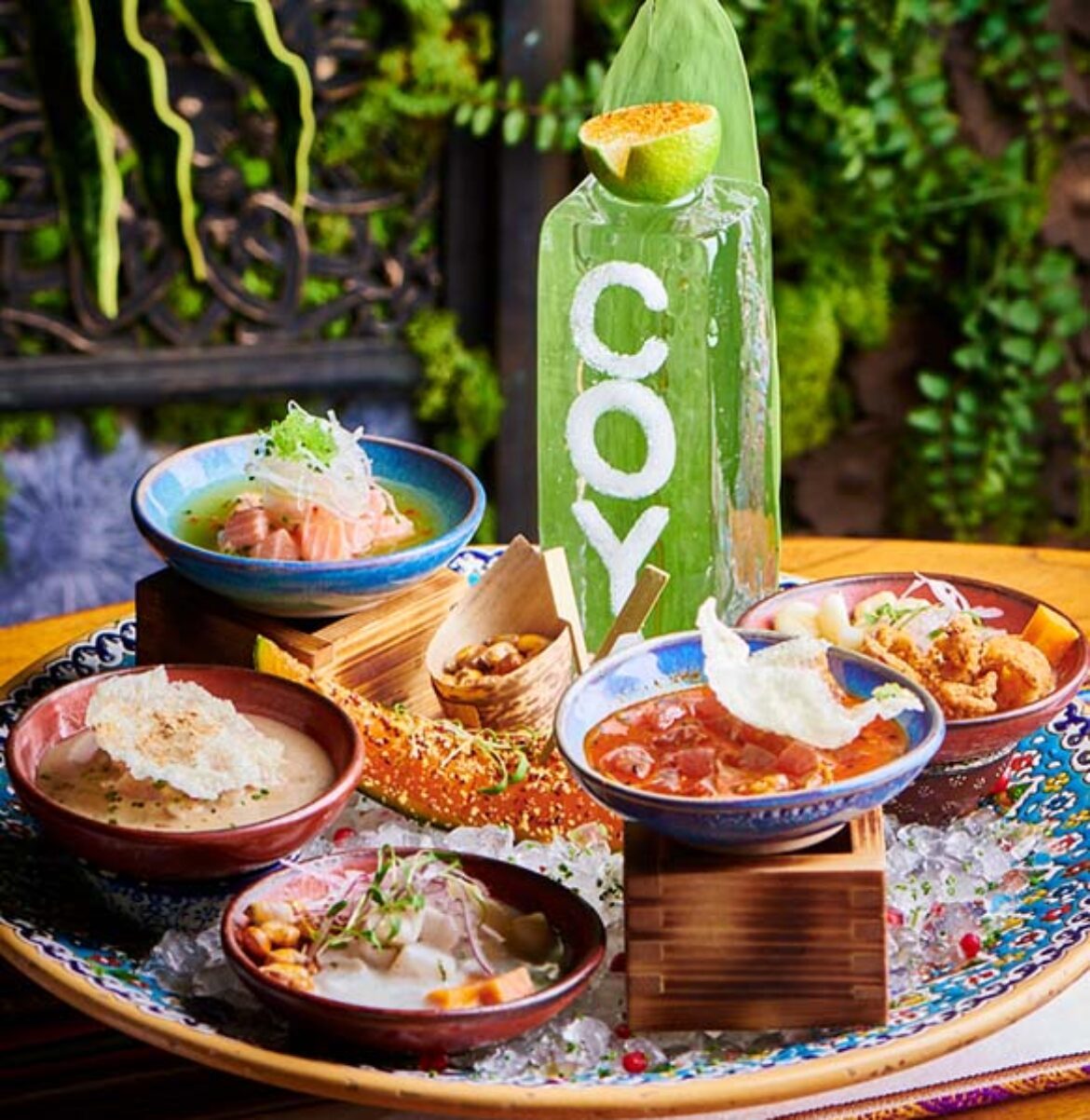 Coya_Food-1-1170x0-c-center coya